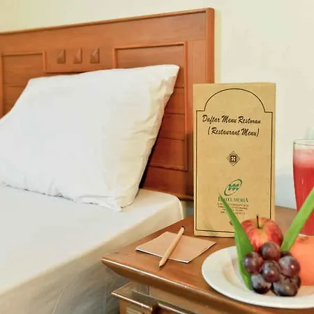 Hotel Muria Semarang-2